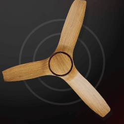 Fans